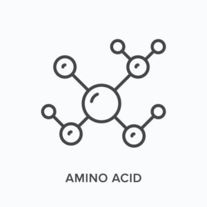 Amino Acids