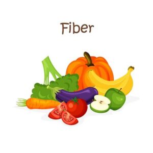 Digestion & Fiber