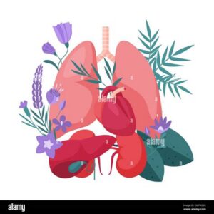 Organ Support