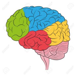 Cognitive